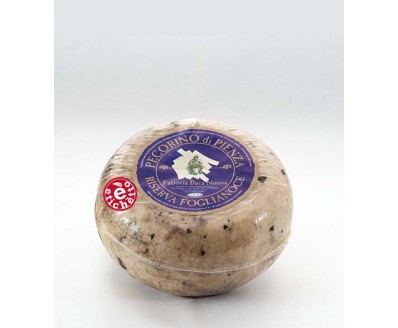 Pecorino di Pienza Riserva Foglianoce