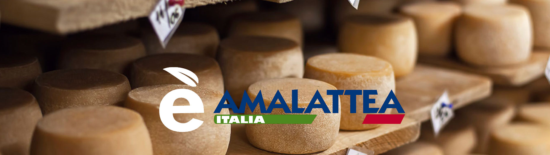 Amalattea Italia S.r.l.