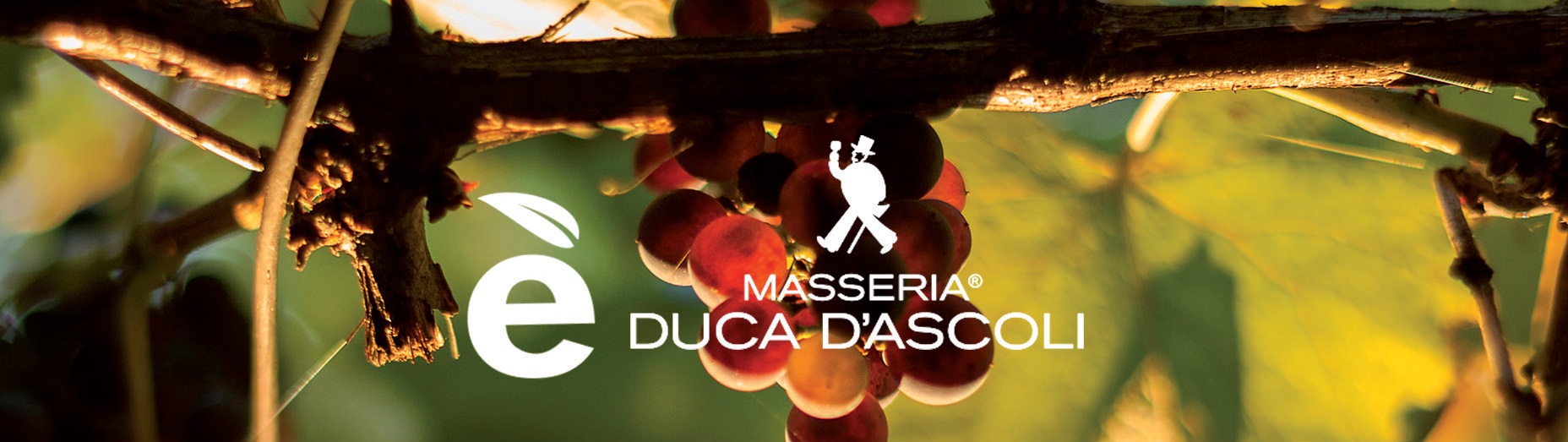 Masseria Duca D’Ascoli S.r.l.