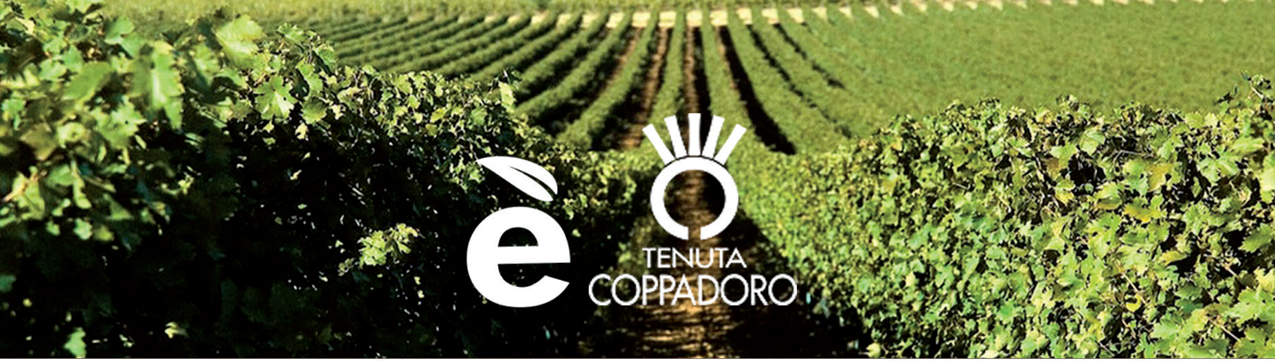 Officina del Vino Soc.Agr. S.r.l. Tenuta Coppadoro