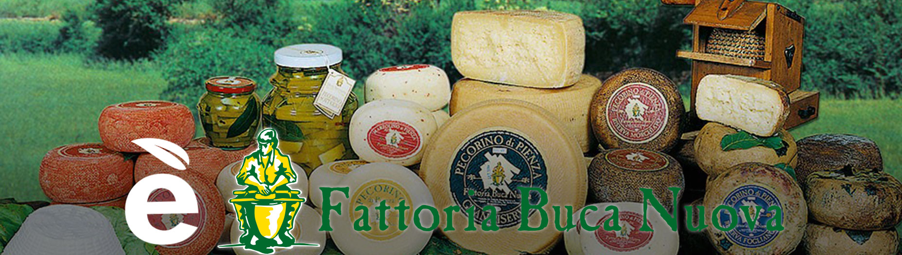 Fattoria Buca Nuova
