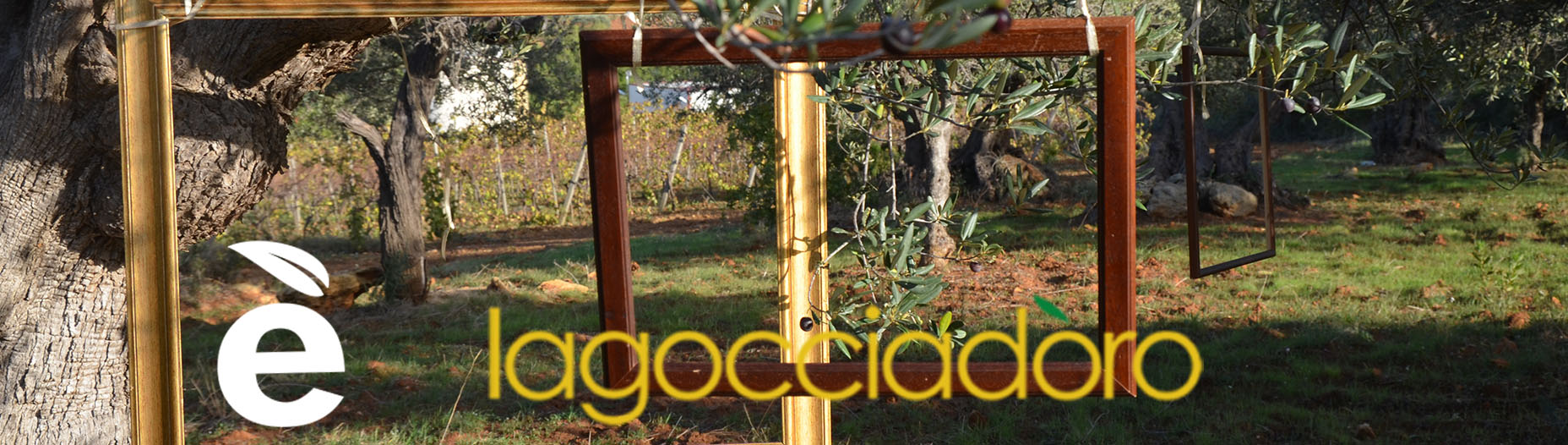 La Goccia d'Oro